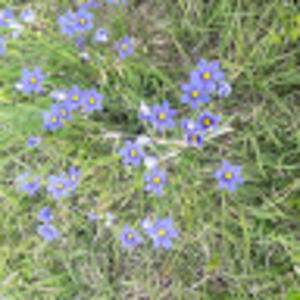 Meet your Posher, Teanna